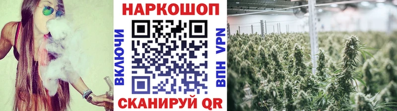 Купить закладку Тамбов Бошки Шишки КЕТАМИН Галлюциногенные грибы КОКАИН МЕФ A-PVP