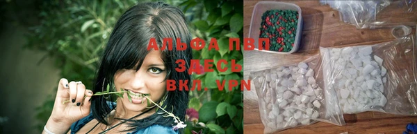 тгк Шали