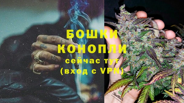 эйфоретик Новозыбков