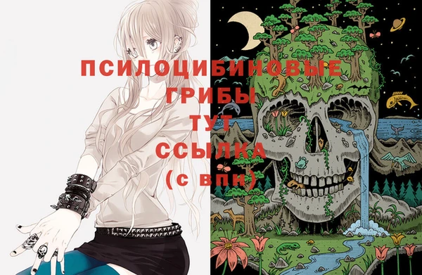 соль курить ск Новодвинск