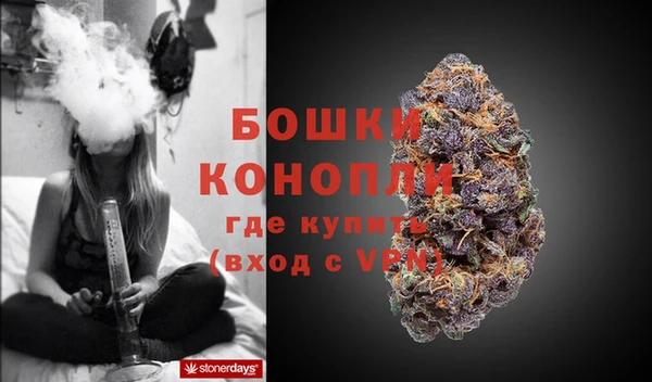 эйфоретик Новозыбков
