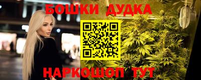 сатива Краснокаменск