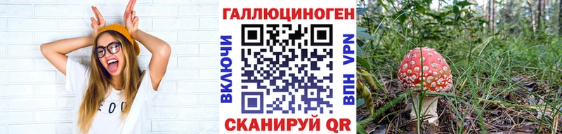 где можно купить наркотик Тамбов omg маркетплейс Псилоцибиновые грибы GOLDEN TEACHER