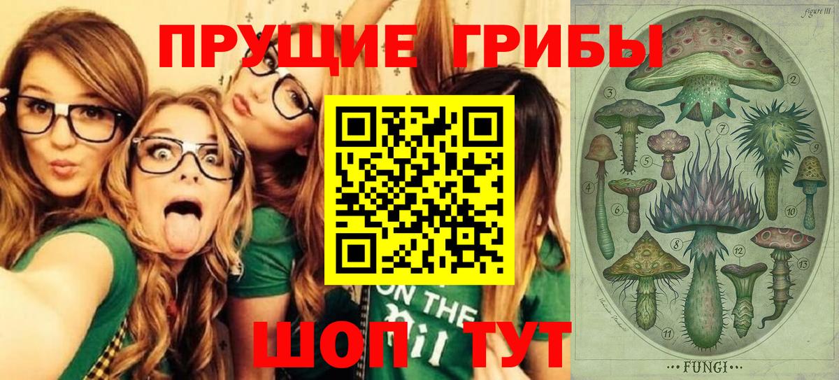 Тамбов  где купить наркоту  Псилоцибиновые грибы MAGIC MUSHROOMS  Вход с VPN  Псилоцибиновые грибы Psilocybe 
