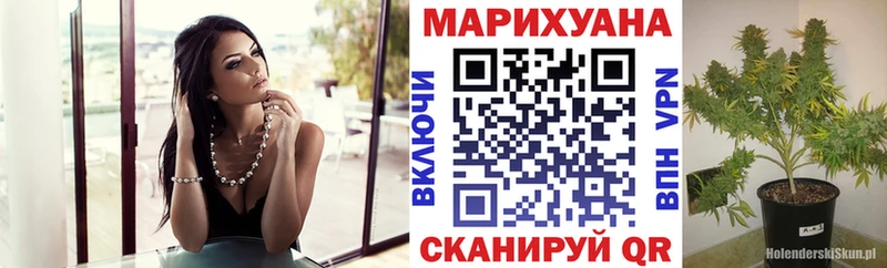 Бошки марихуана план  Тамбов 